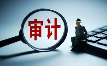 审计人心得体会范文5篇