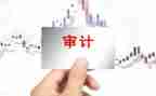 年终审计工作总结模板6篇