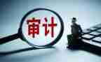 审计人心得体会范文5篇