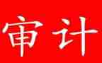 审计员述职报告8篇