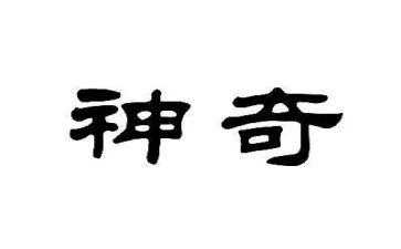 神奇的书教案5篇