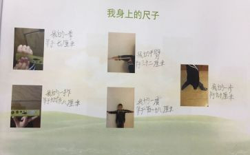 身体的尺教案8篇