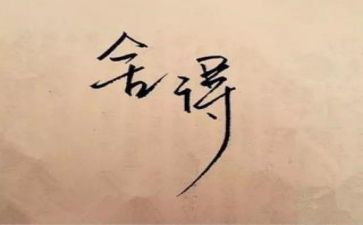 阅读教师的舍与得心得体会6篇