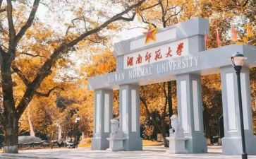 师范心得体会优质5篇