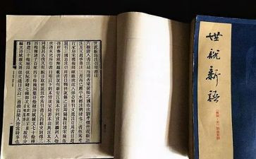 世说新语读后感模板5篇
