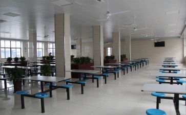2024食堂管理述职报告范文5篇