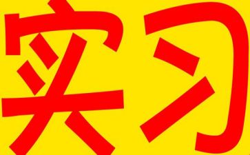 实习总结报告5篇