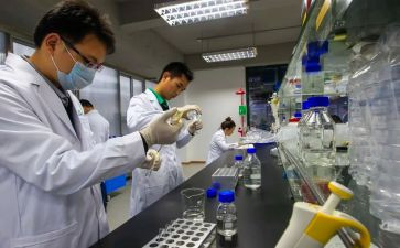 试验检测工作个人总结6篇