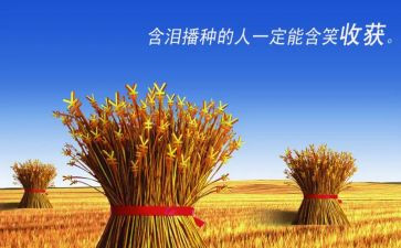 教师实习收获及心得体会6篇