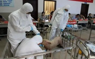 兽医站个人述职报告6篇