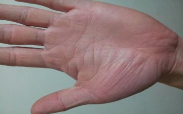 手掌画教案最新7篇