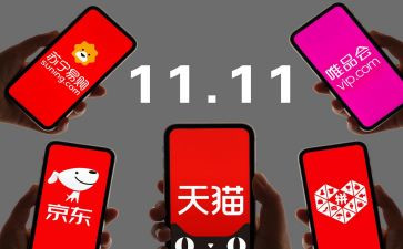 关于双11的调查报告精选7篇