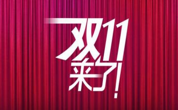 双11实训报告心得体会优质6篇