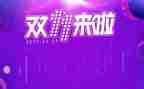 2024年双十一活动方案策划8篇