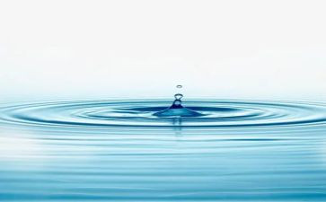 语言《水》教案最新7篇
