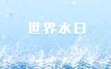 节水日活动总结7篇