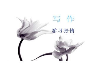 中秋抒情的作文8篇