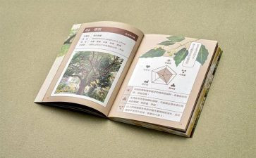 学四史心得体会5篇