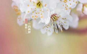 销售四月工作总结6篇