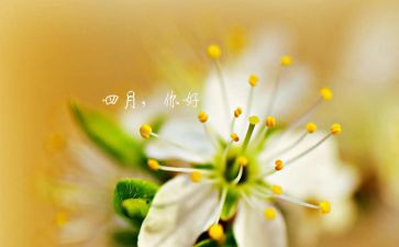 四月作文优质6篇
