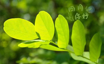 物业四月工作计划5篇