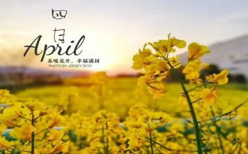 四月读书节活动方案7篇