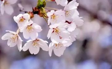 学生会四月份月总结精选7篇