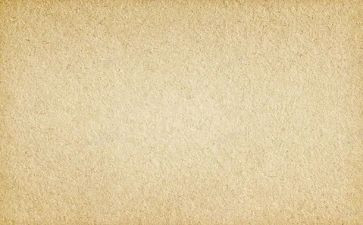 团结的素材作文7篇