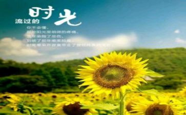 《山居岁月》读后感模板6篇