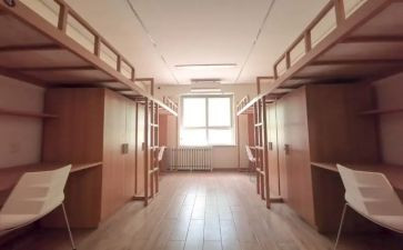 中学生学生宿舍工作总结7篇
