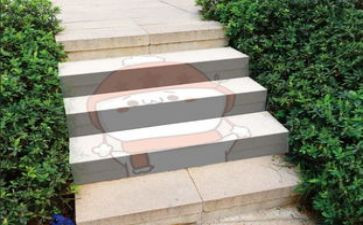 《台阶》作文7篇