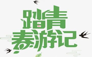 清明踏青心得体会5篇