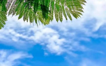 天气教案小班科学教案8篇