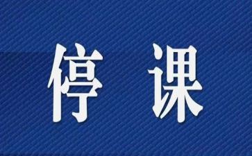 学校停课不停学线上教学总结8篇