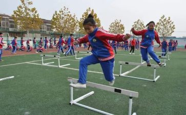 学生体育活动总结6篇