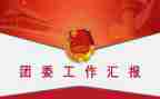 分团委工作总结范文8篇