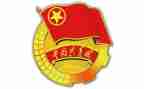 团支书周心得体会5篇