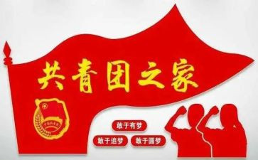 2023年团组织生活心得体会5篇