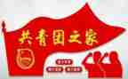 2023年团组织生活心得体会5篇