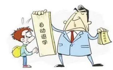 学生退学申请书范文8篇