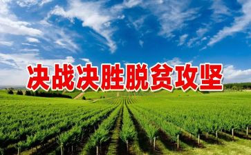脱贫心得体会范文6篇