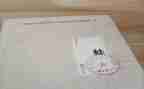 小青蛙的心得体会8篇