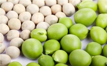《豌豆公主》读后感5篇