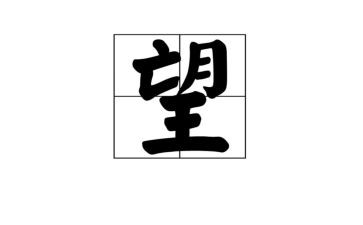 我渴望作文800字5篇