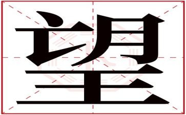 仰望的作文600字5篇