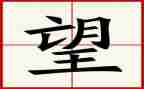 亲情的守望作文7篇