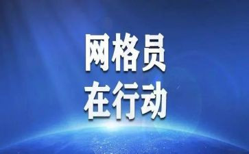 村网格员工作总结通用8篇