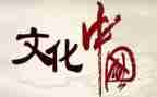 文化心得体会6篇
