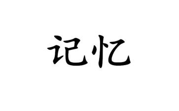 抹不去的记忆的作文精选5篇