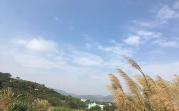 我的一天小作文优质6篇